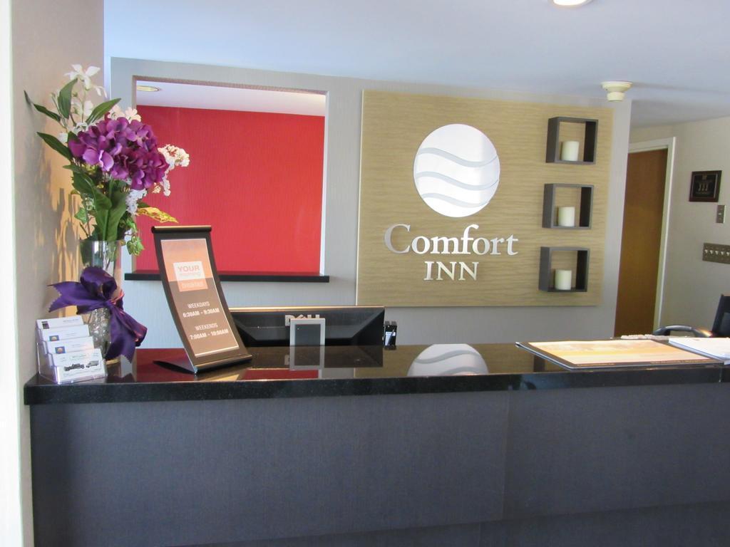 Comfort Inn Cobourg Zewnętrze zdjęcie
